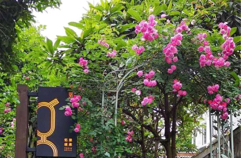 Hangzhou Dreamweaver Island B&B - Official Website